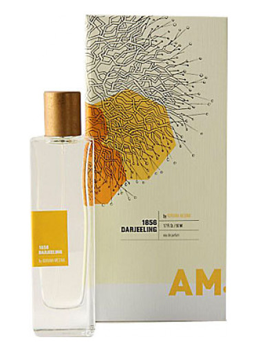 A Rather Novel Collection 1856 Darjeeling by Adriana Medina Anthropologie