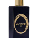 Image for Accendis 0.1 Accendis