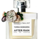 Image for After Rain Balint Parfums