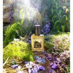 Image for After the Rain Solstice Scents