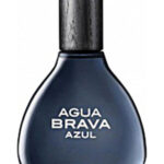 Image for Agua Brava Azul Antonio Puig