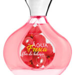 Image for Água Fresca Flor de Hibísco Água de Cheiro