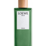 Image for Agua Miami Loewe