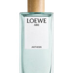 Image for Aire Anthesis Loewe