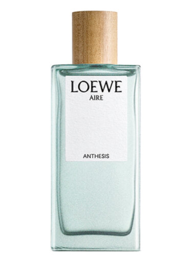 Aire Anthesis Loewe