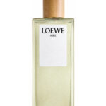 Image for Aire Loewe Loewe