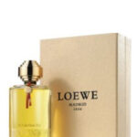 Image for Amanece la bella Cibeles Loewe