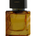 Image for Amber Ajmal