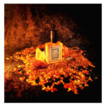 Image for Amber Coeur Solstice Scents