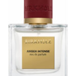 Image for Amber Intense Birkholz