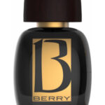 Image for Ambre 35 Maison de Parfum Berry