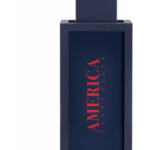 Image for America Perry Ellis