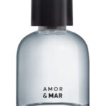 Image for Amor & Mar Quem Disse Berenice