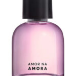 Image for Amor na Amora Quem Disse Berenice