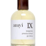 Image for Amyi IX Amyi