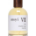 Image for Amyi VII Amyi