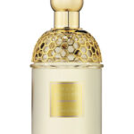 Image for Aqua Allegoria Jasminora Guerlain