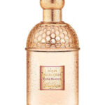 Image for Aqua Allegoria Rosa Blanca Guerlain