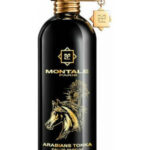 Image for Arabians Tonka Montale