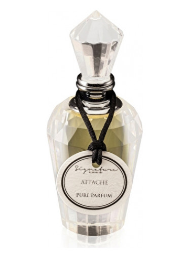 Attache Signature Fragrances