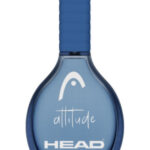 Image for Attitude Head