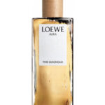 Image for Aura Loewe Pink Magnolia Loewe