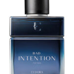 Image for Bad Intention Eudora