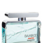 Image for Bamboo America Franck Olivier