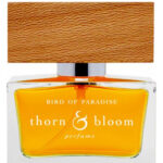 Image for Bird of Paradise Thorn & Bloom