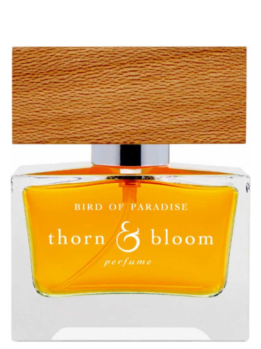 Bird of Paradise Thorn & Bloom