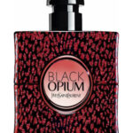 Image for Black Opium Baby Cat Collector Yves Saint Laurent
