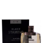 Image for Black Stamino Prime Collection