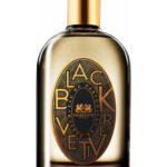 Image for Black Vetiver Phaedon