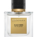 Image for Black Weed Birkholz