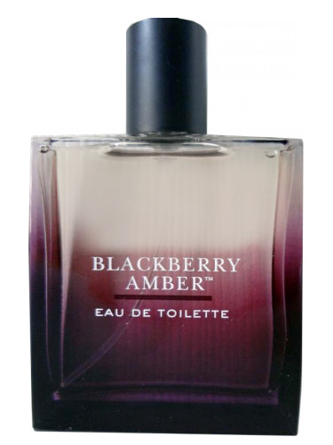 Blackberry Amber Bath & Body Works