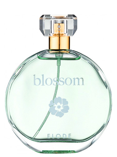 Blossom Elode