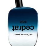 Image for Blue Cedrat Comme des Garcons