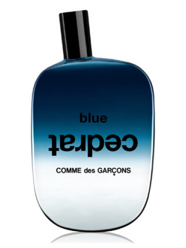 Blue Cedrat Comme des Garcons