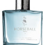 Image for Blue Leather Horseball