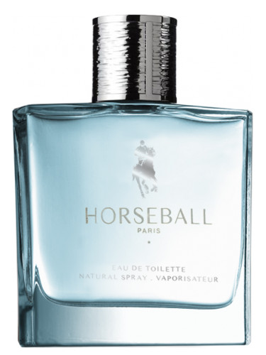 Blue Leather Horseball