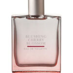 Image for Blushing Cherry Blossom Bath & Body Works