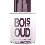 Image for Bois de Oud Solinotes