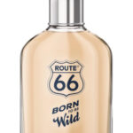 Image for Born To Be Wild Route 66