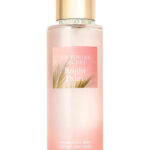 Image for Bright Palm Victoria’s Secret