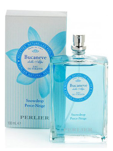 Bucaneve (Snowdrop) Perlier