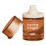 Image for Burning Bridges Snif