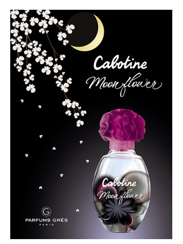 Cabotine Moon Flower Grès