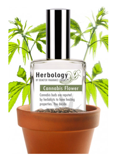 Cannabis Flower Demeter Fragrance