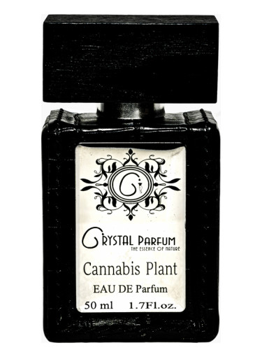 Cannabis Plant Crystal Parfum