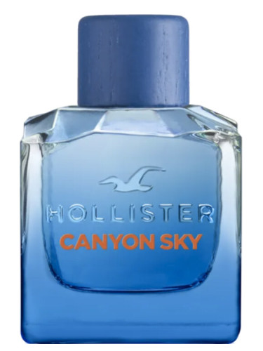 Canyon Sky For Him Hollister